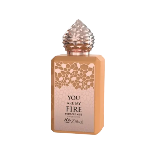 YOU ARE MY FIRE MIRACLE KISS ZAKAT